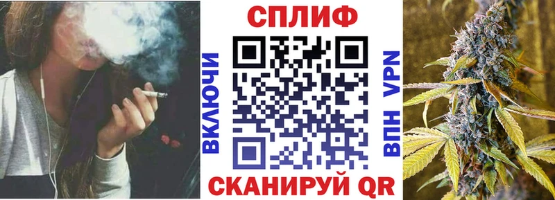Бошки марихуана план  где можно купить   Торжок 